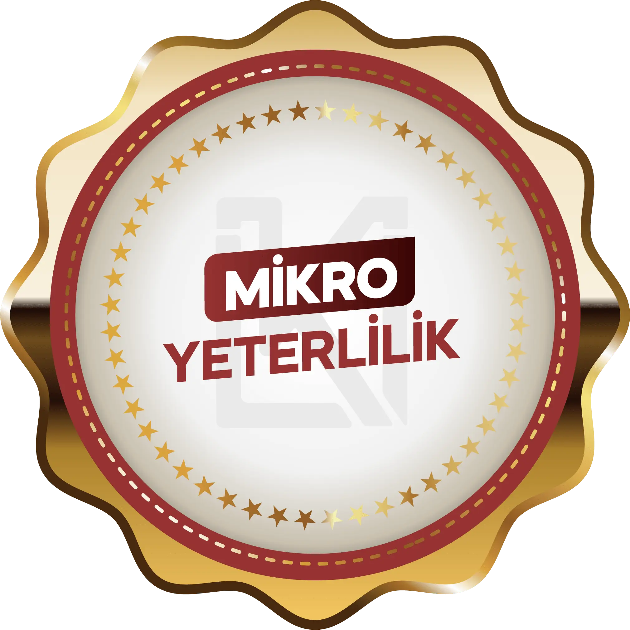 Mikro Yeterlilik