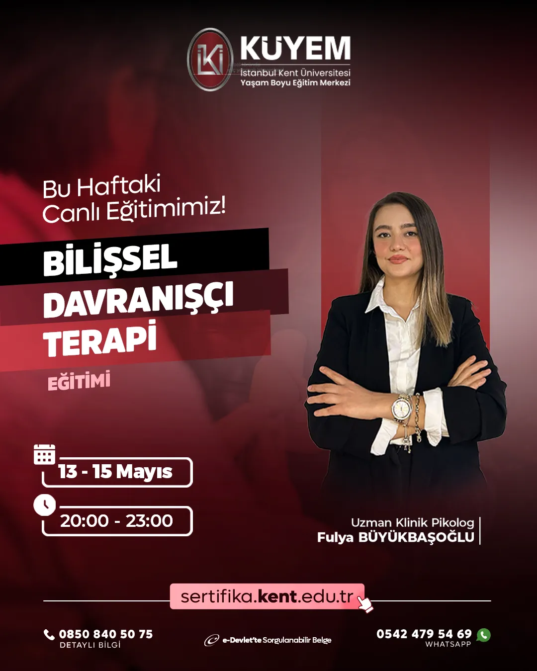Bilişsel Davranışçı Terapi (CBT) Uygulama ve Teknikler Eğitimi (Canlı)