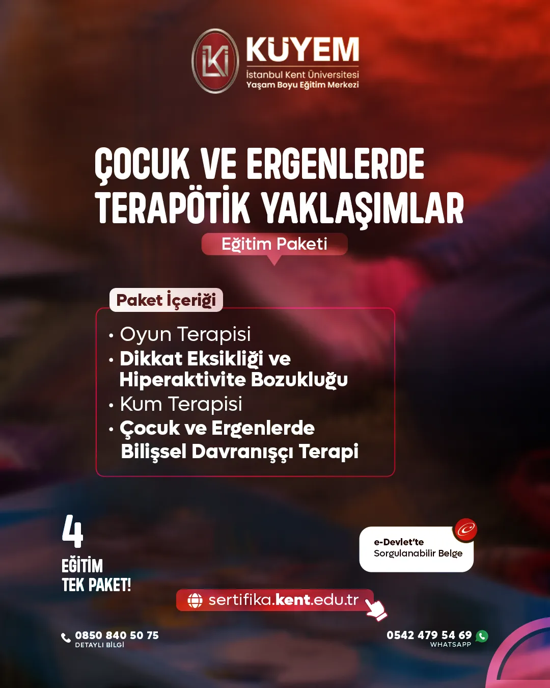 Çocuk ve Ergenlerde Terapötik Yaklaşımlar  Eğitim Paket Programı