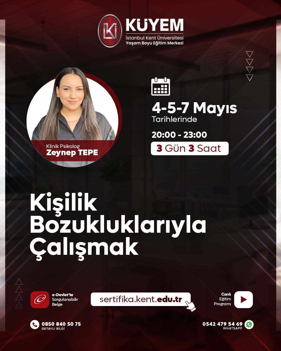 Kişilik Bozukluklarıyla Çalışmak Eğitim Programı (Canlı)