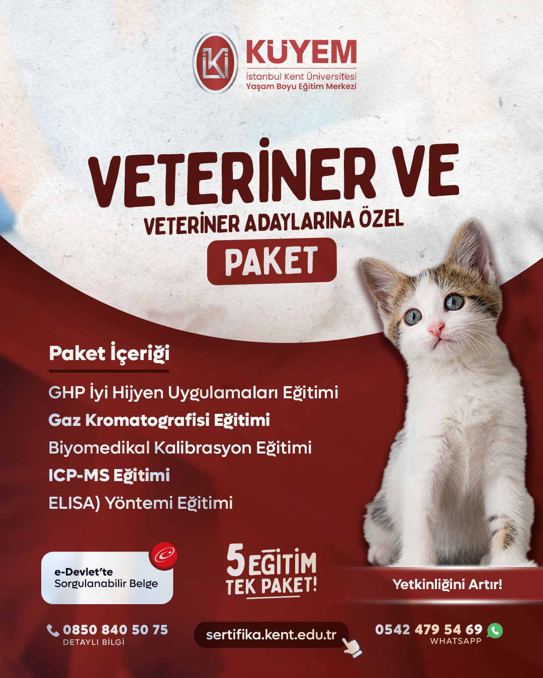 Veteriner Ve Vetirener Adaylarına Özel Eğitim Paket Programı