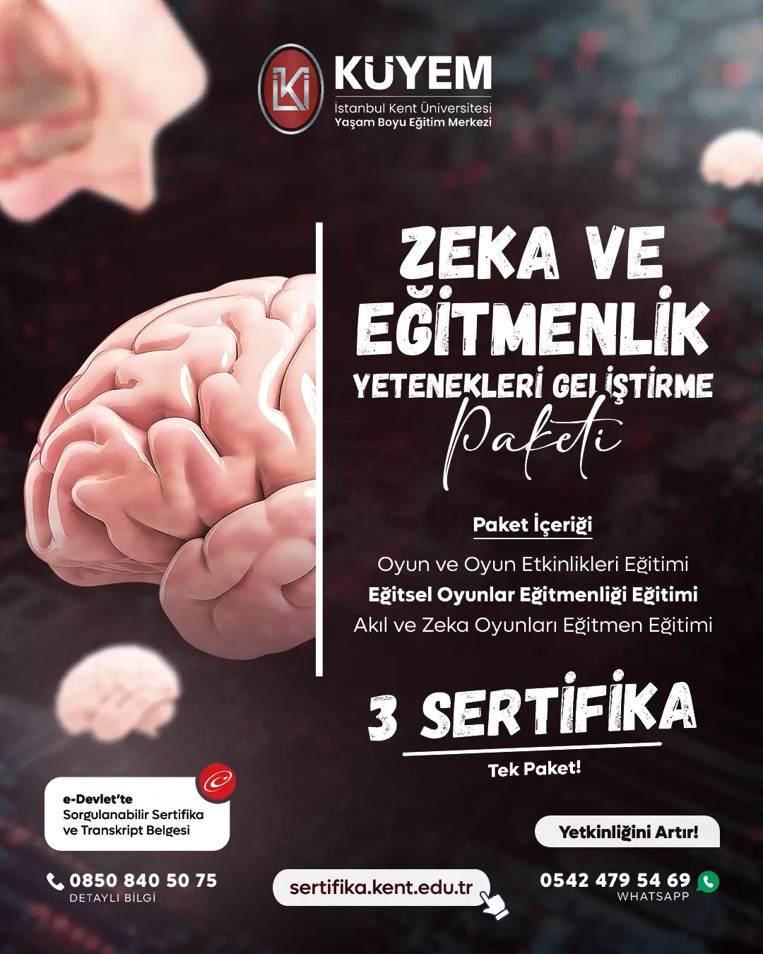 Zeka Ve Eğitmenlik Yetenekleri Geliştirme Sertifika Paket Programı