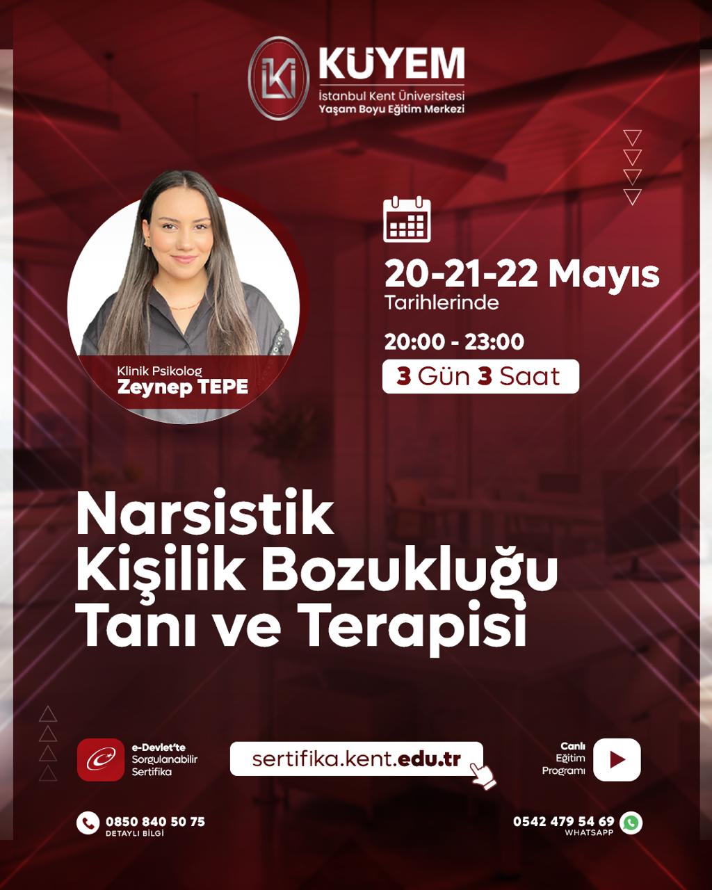 Narsistik Kişilik Bozukluğu Tanı ve Terapisi Sertifika Programı (Canlı)