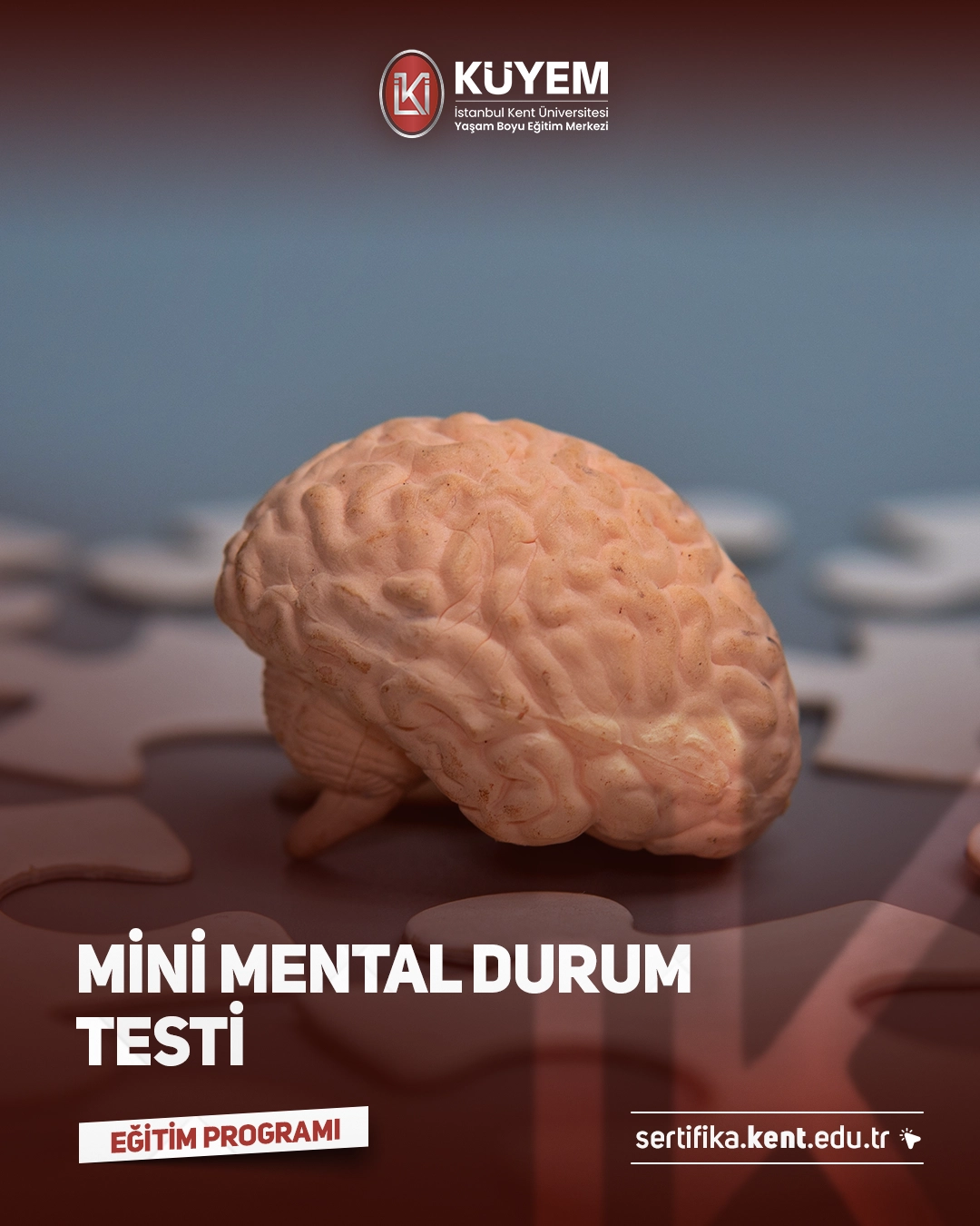 Mini Mental Durum Testi Sertifika Programı