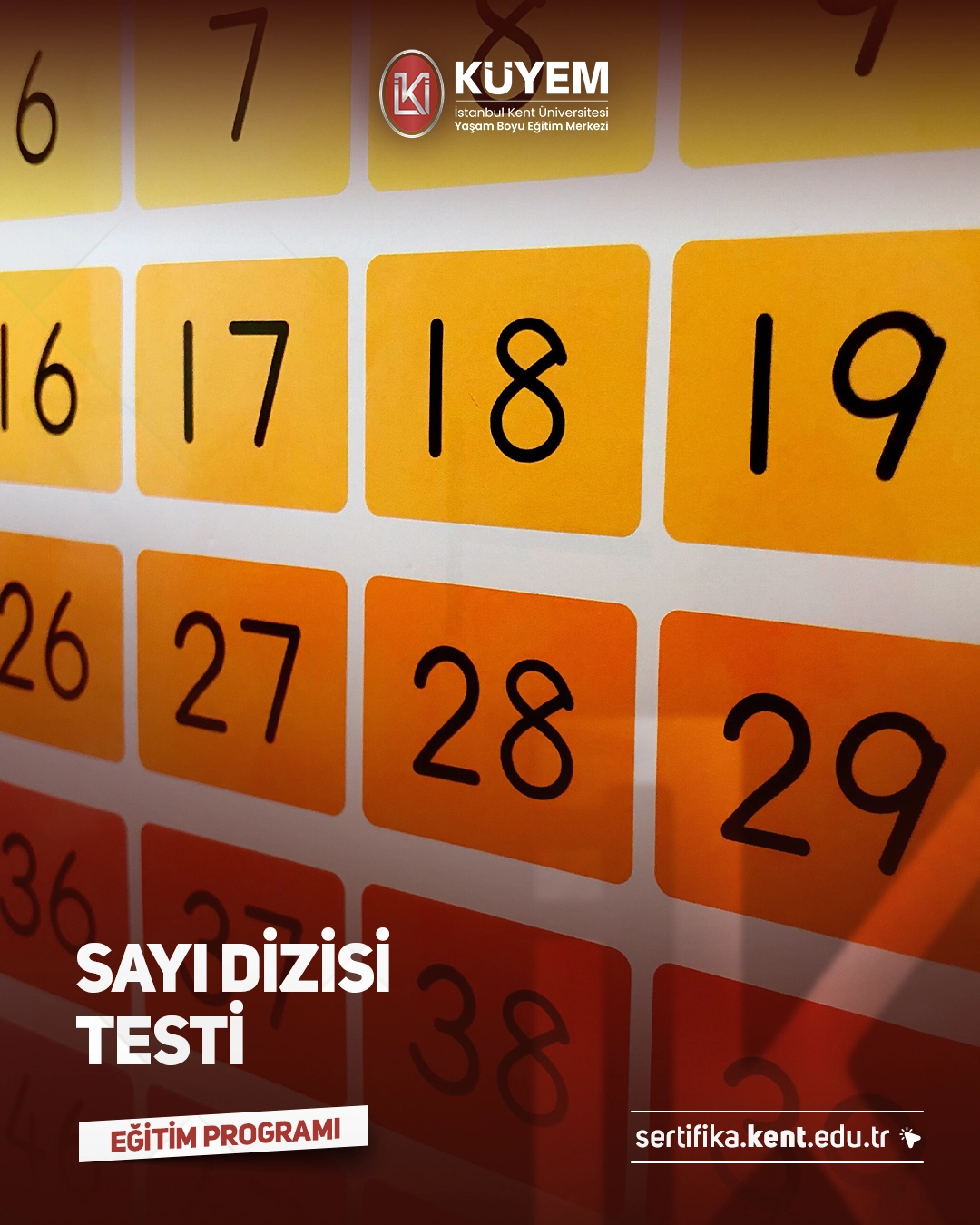 Sayı Dizisi Testi Sertifika Programı