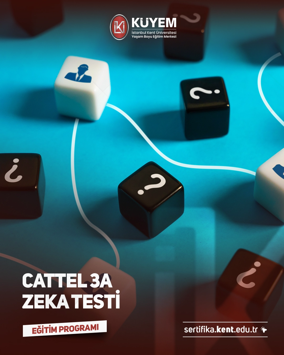 Cattel 3A Zeka Testi Eğitimi Sertifika Programı