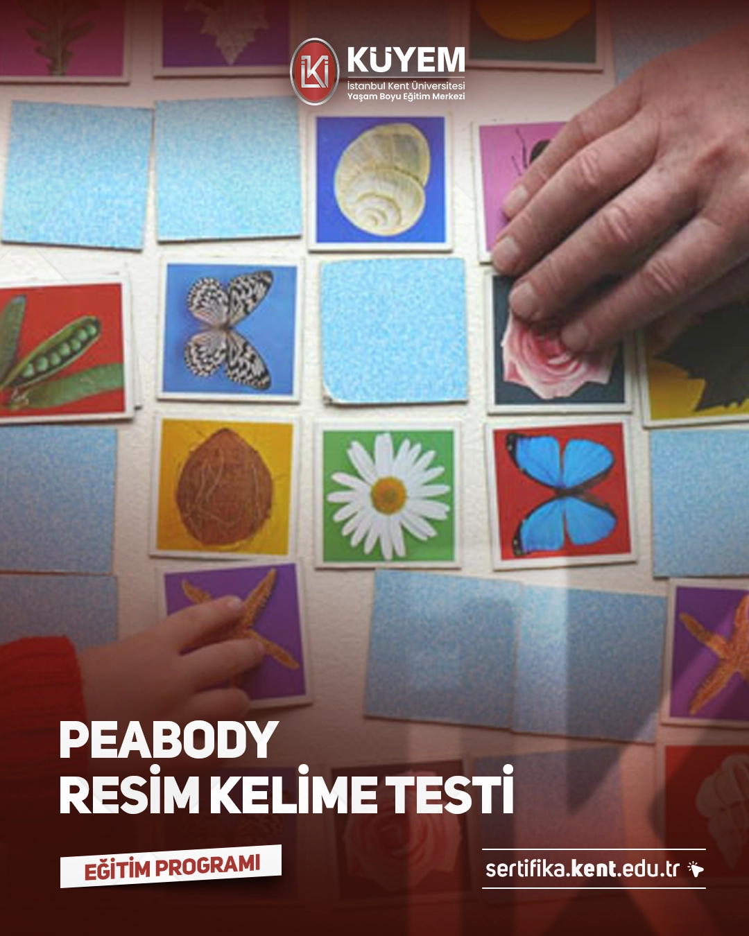 Peabody Resim Kelime Testi Eğitimi Sertifika Programı