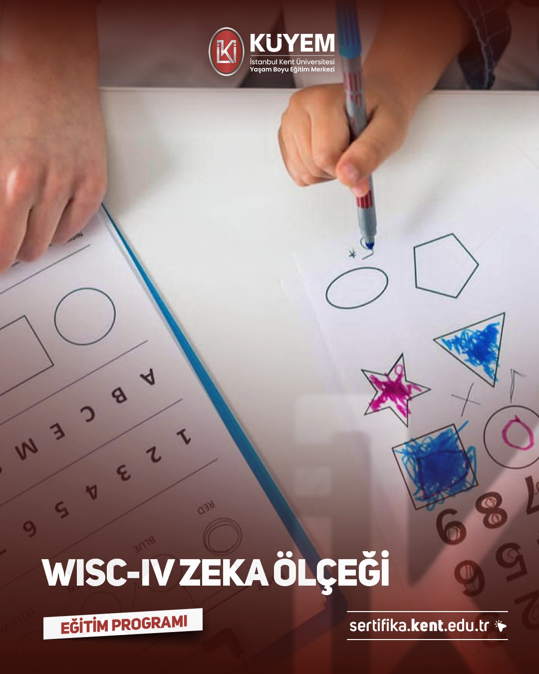 WISC-IV Zeka Ölçeği Eğitimi Sertifika Programı