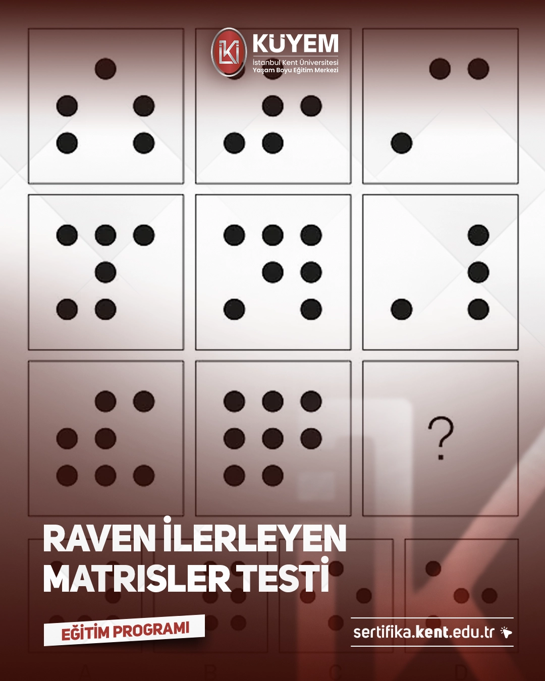 Raven İlerleyen Matrisler Testi Sertifika Programı