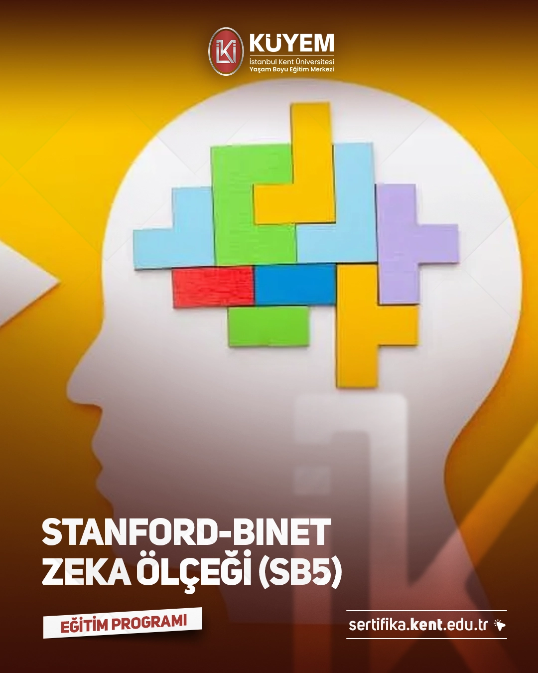 Stanford-Binet Zeka Ölçeği (SB5) Sertifika Programı