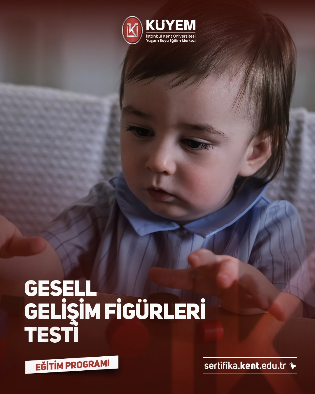 Gesell Gelişim Figürleri Testi Sertifika Programı