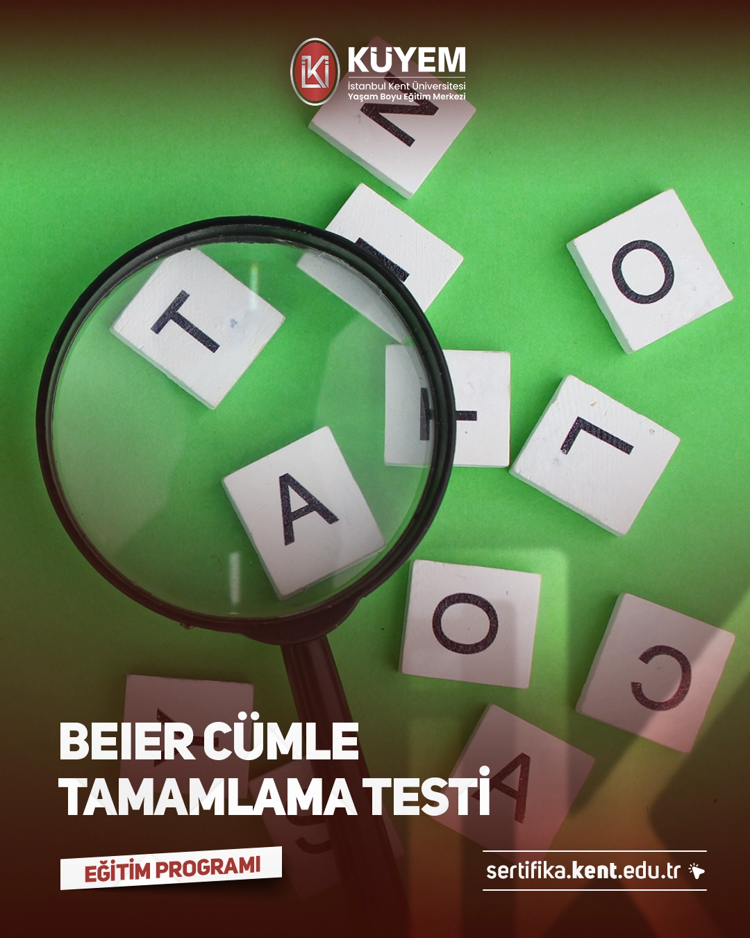 Beier Cümle Tamamlama Testi Sertifika Programı