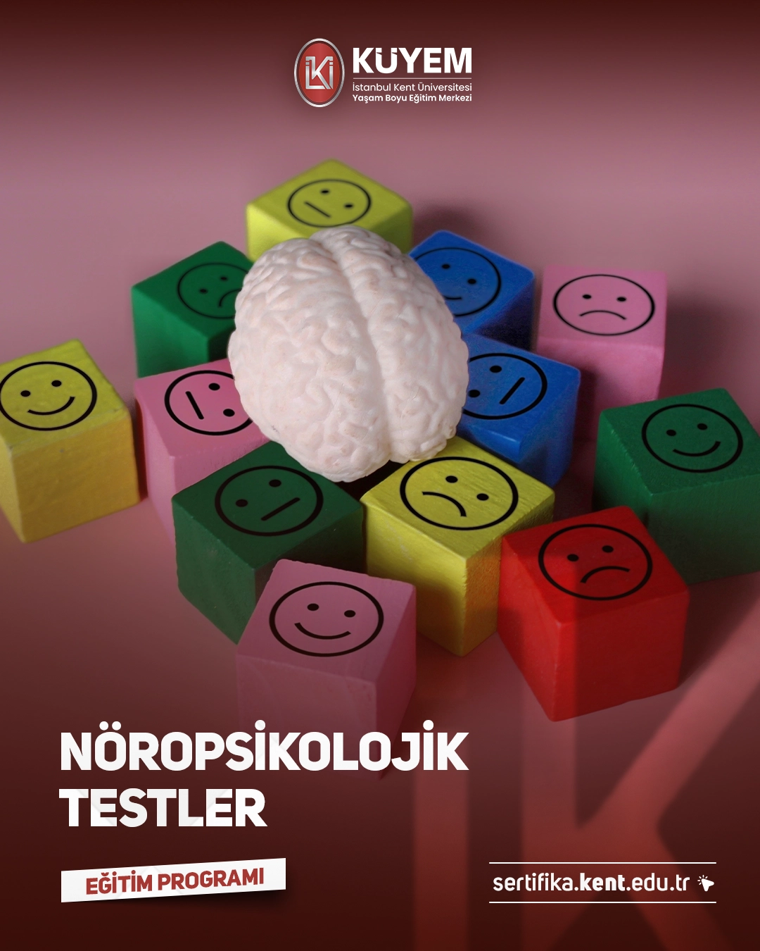 Nöropsikolojik Testler Sertifika Programı