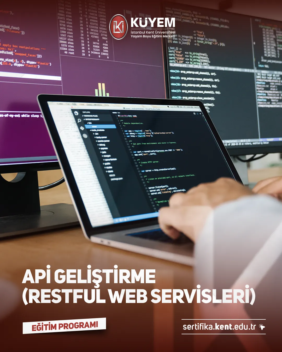 Apı Geliştirme (Restful Web Servisleri) Eğitim Programı