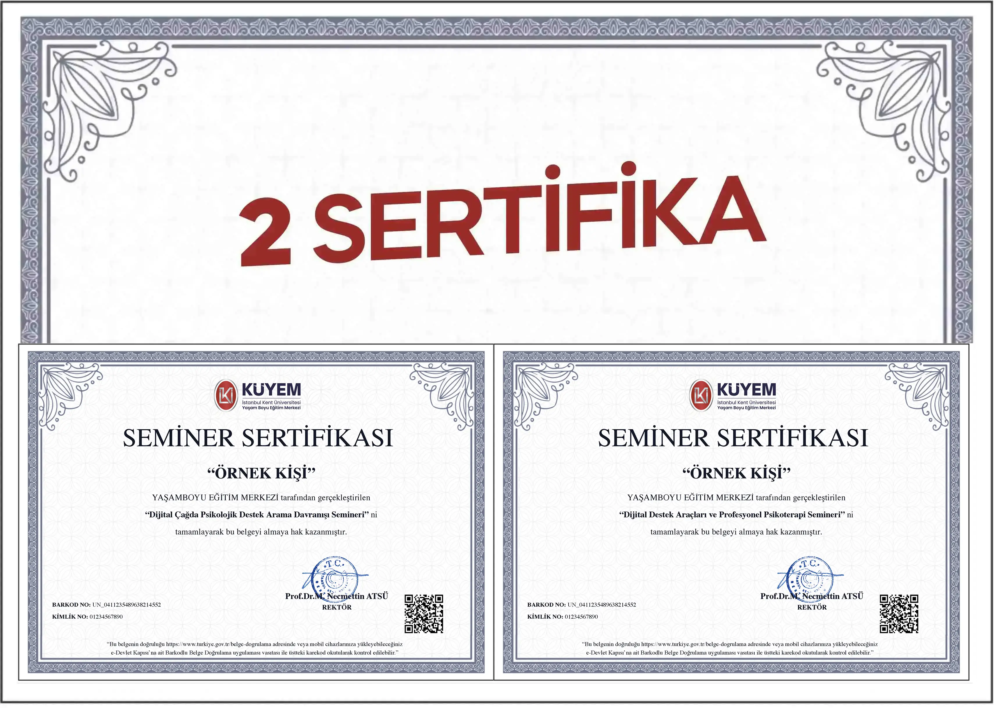 Dijital Çağda Psikolojik Destek Arama / Dijital Destek Araçları ve Profesyonel Psikoterapi İkili Eğitim Paketi