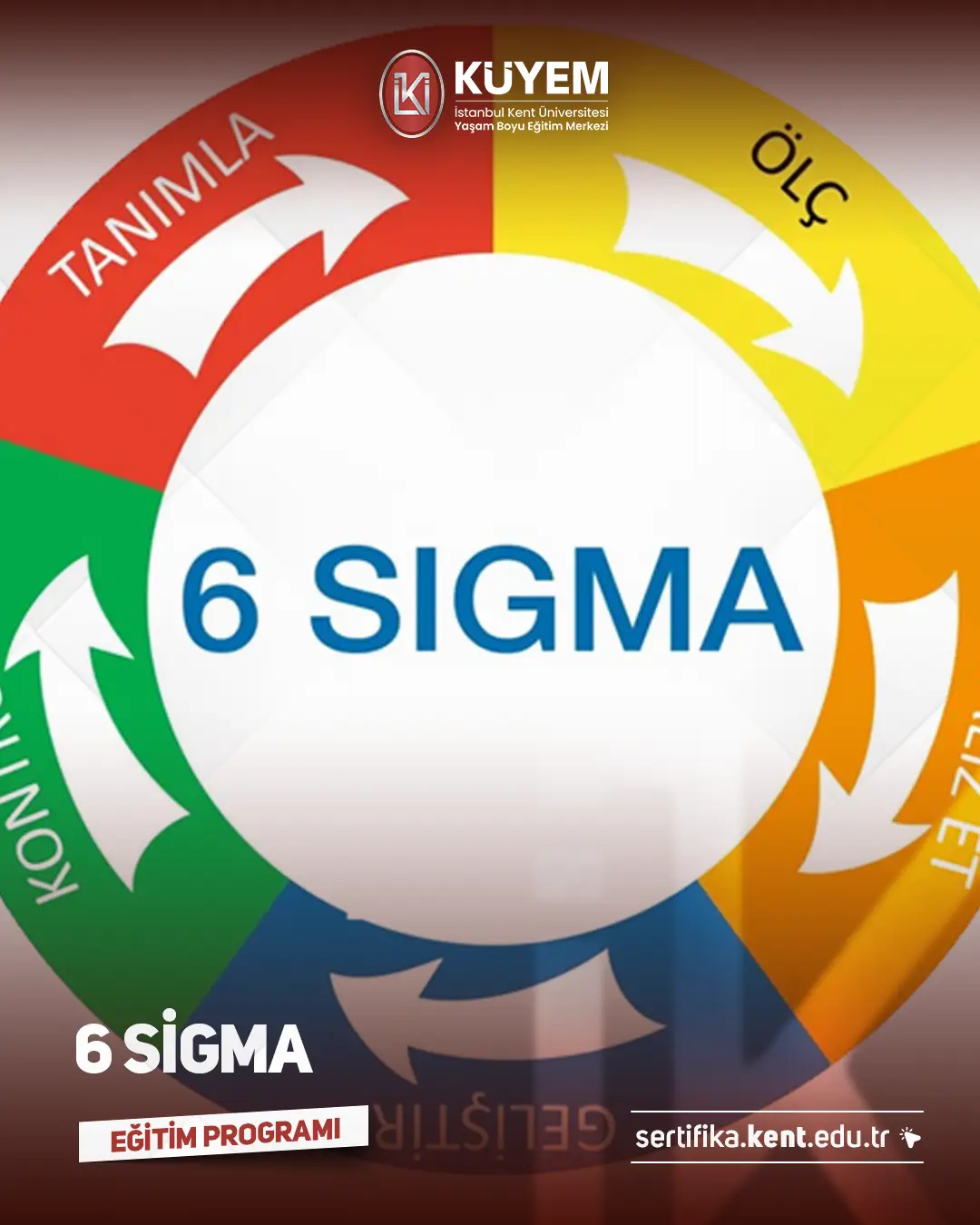 6 Sigma Sertifika Programı