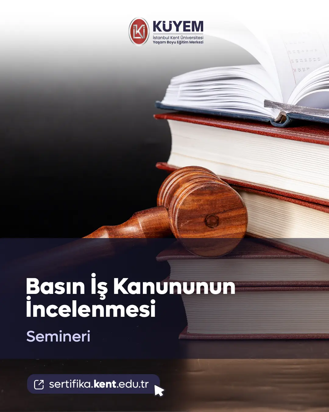 Basın İş Kanununun İncelenmesi Semineri