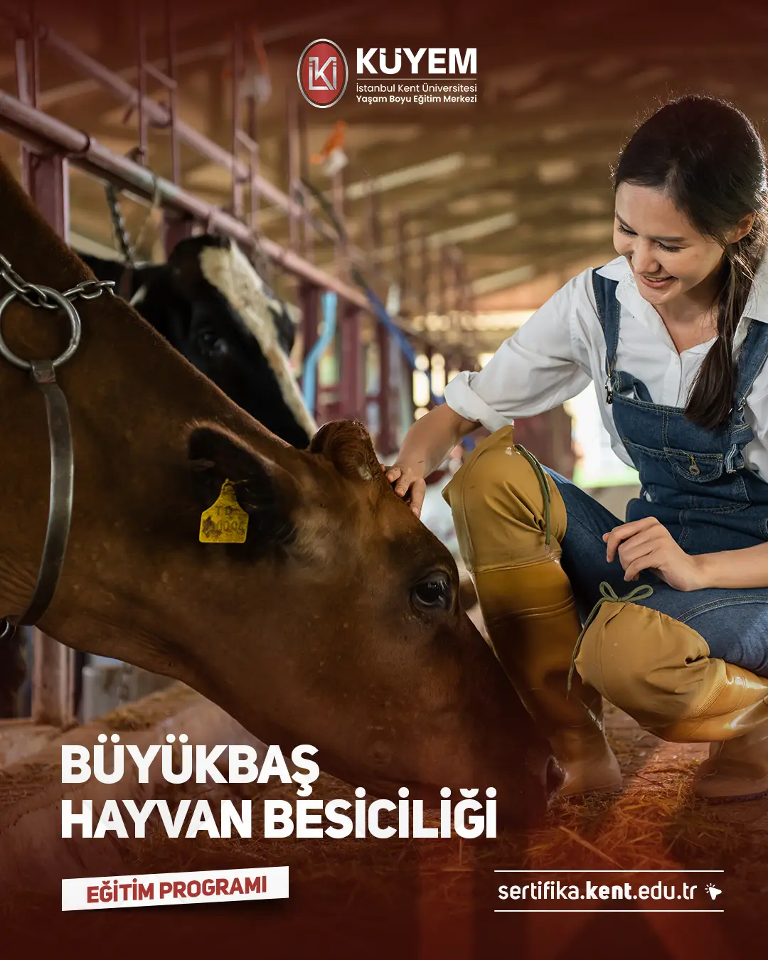 Büyükbaş Hayvan Besiciliği Sertifika Programı