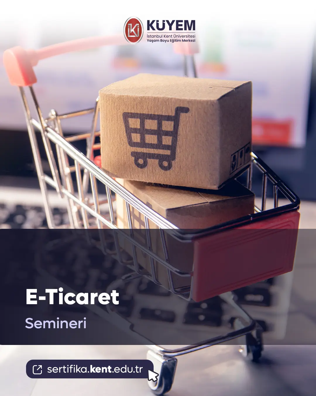 E-Ticaret Semineri