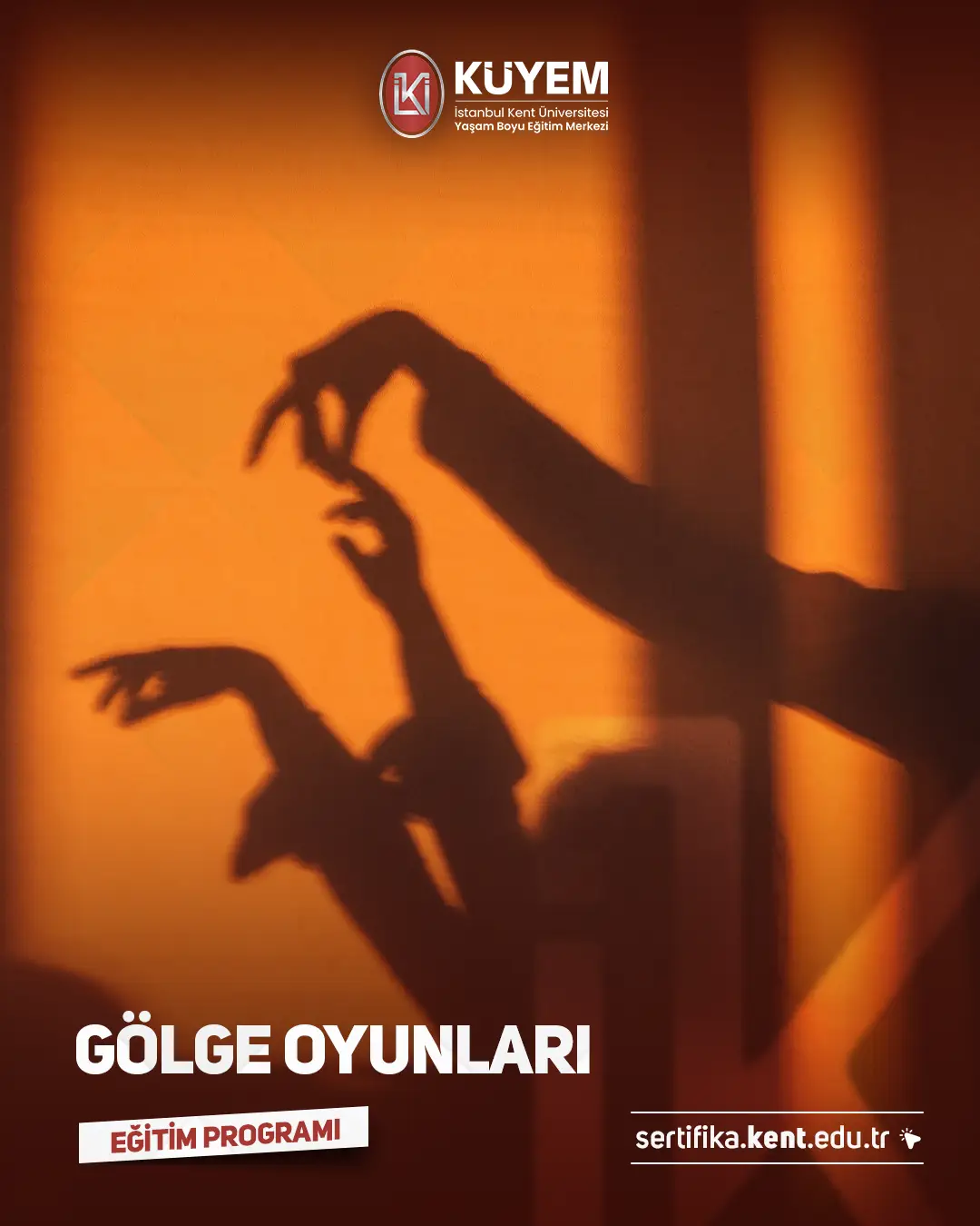 Gölge Oyunları Sertifika Programı