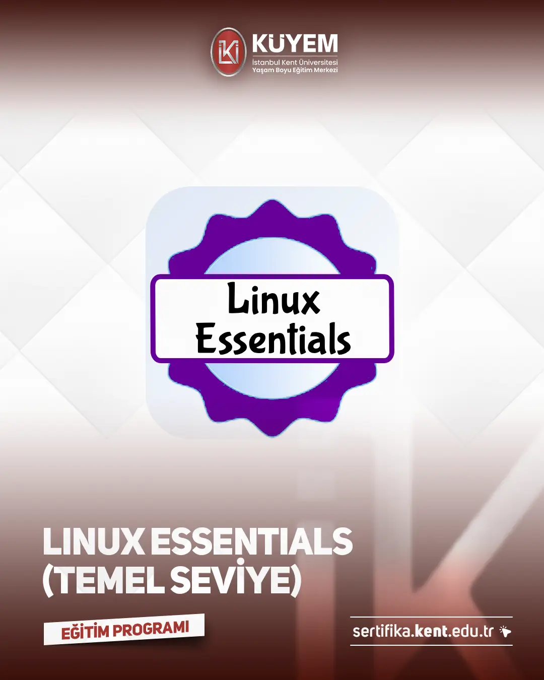 Linux Essentials (Temel Seviye) Eğitimi