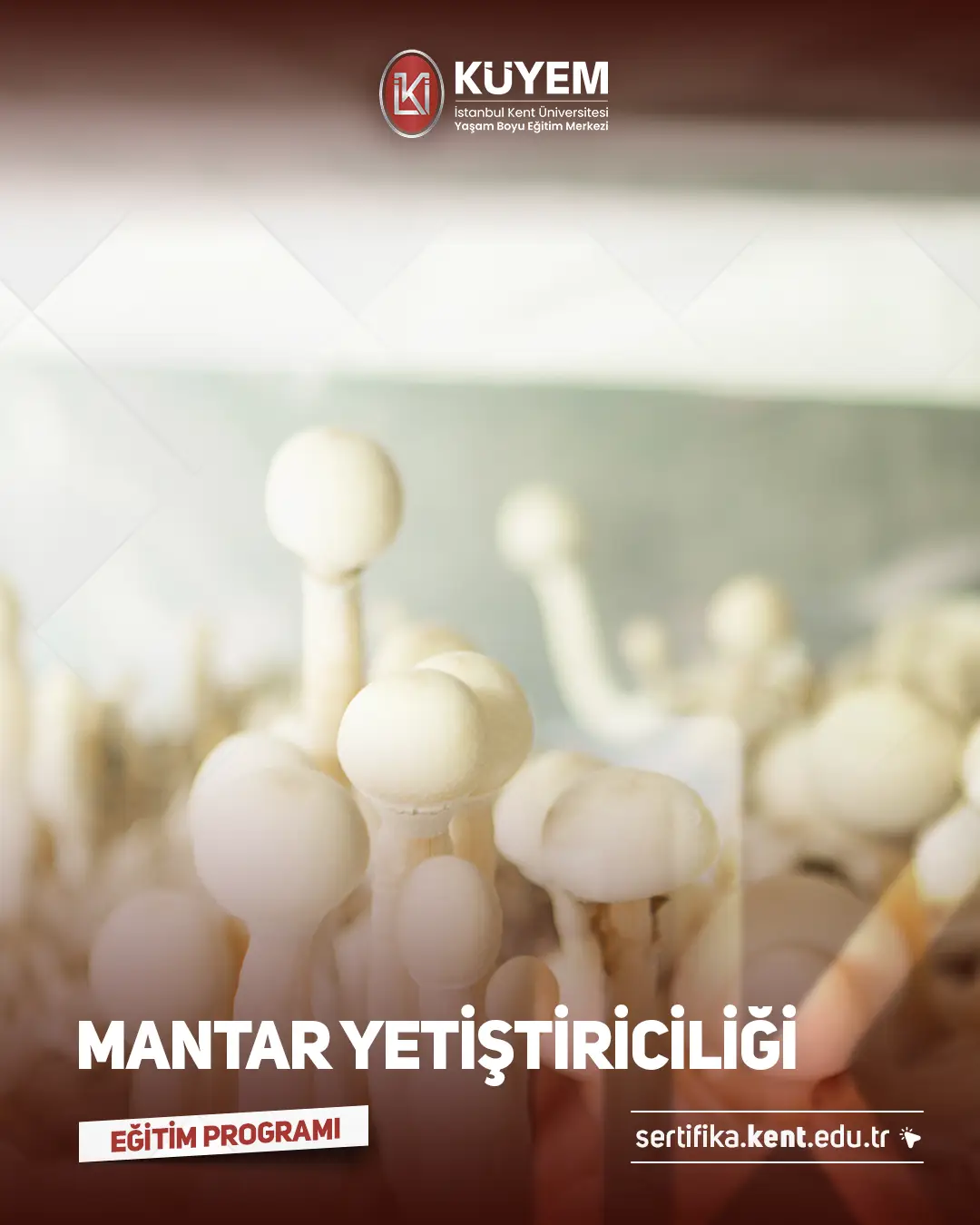 Mantar Yetiştiriciliği Sertifika Programı