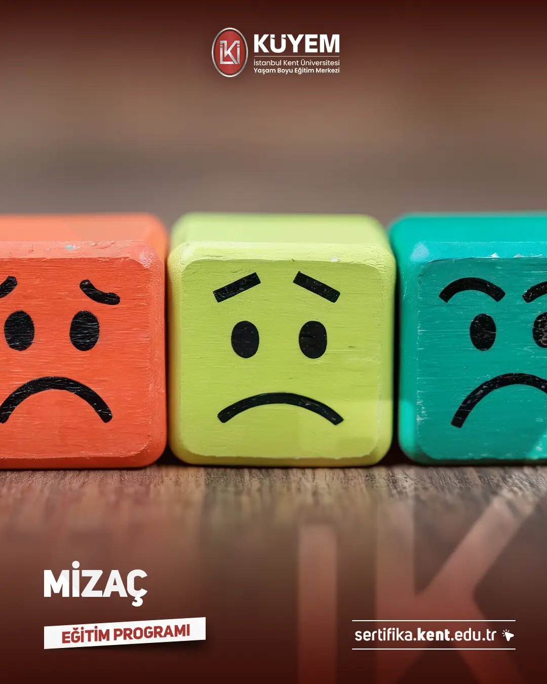 Mizaç Eğitimi Sertifika Programı