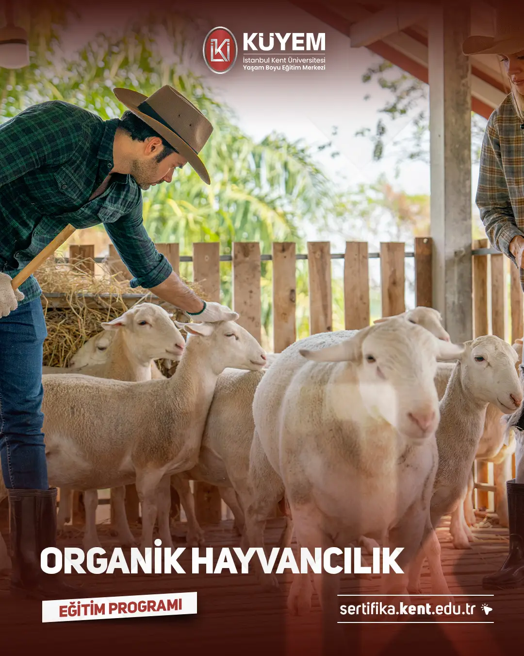 Organik Hayvancılık Sertifika Programı