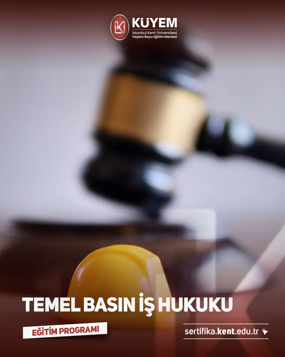 Temel Basın İş Hukuku Sertifika Programı