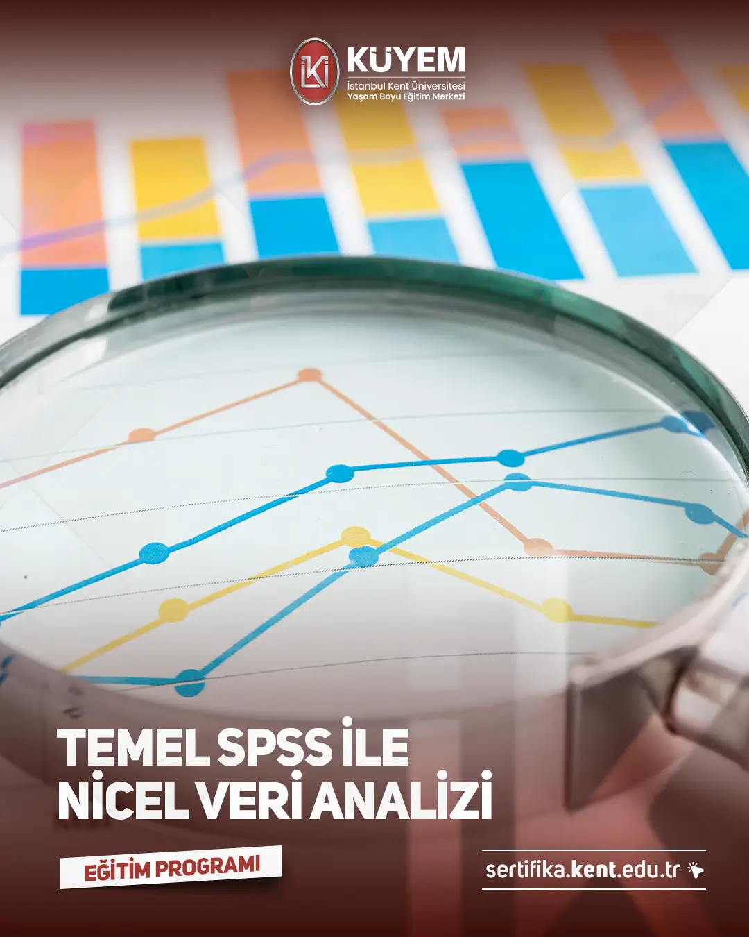 Temel Spss İle Nicel Veri Analizi Sertifika Programı
