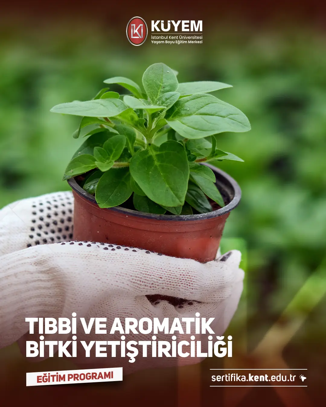 Tıbbi Ve Aromatik Bitki Yetiştiriciliği Sertifika Programı