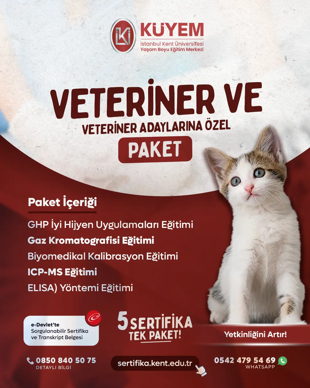 Veteriner Ve Vetirener Adaylarına Özel Sertifika Paket Programı