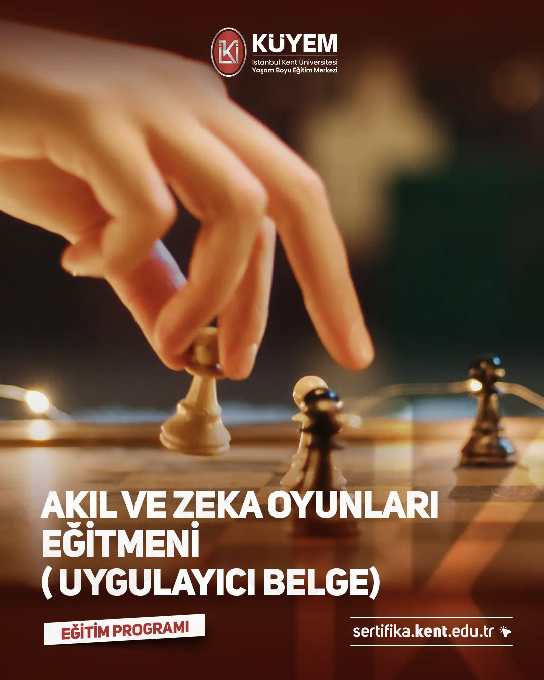 Akıl Ve Zeka Oyunları Eğitmeni Sertifika Programı ( Uygulayıcı Belge)