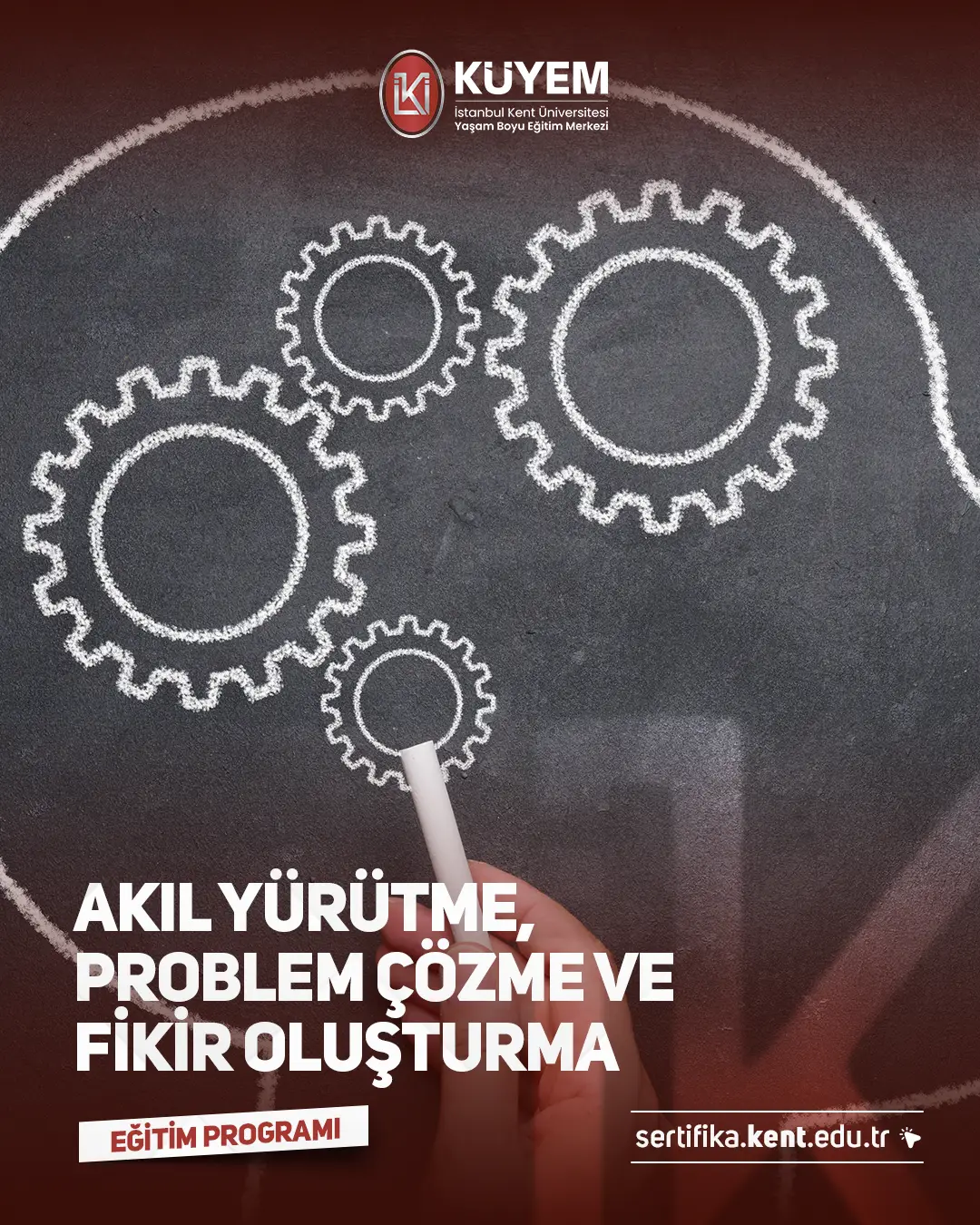 Akıl Yürütme, Problem Çözme Ve Fikir Oluşturma Sertifika Programı