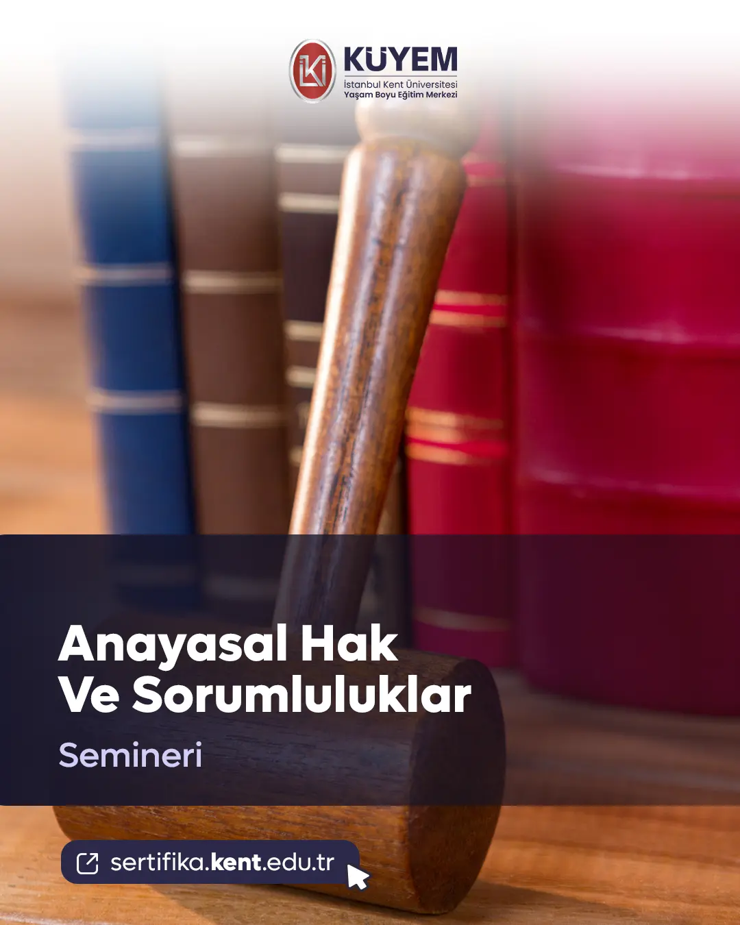Anayasal Hak Ve Sorumluluklar Semineri