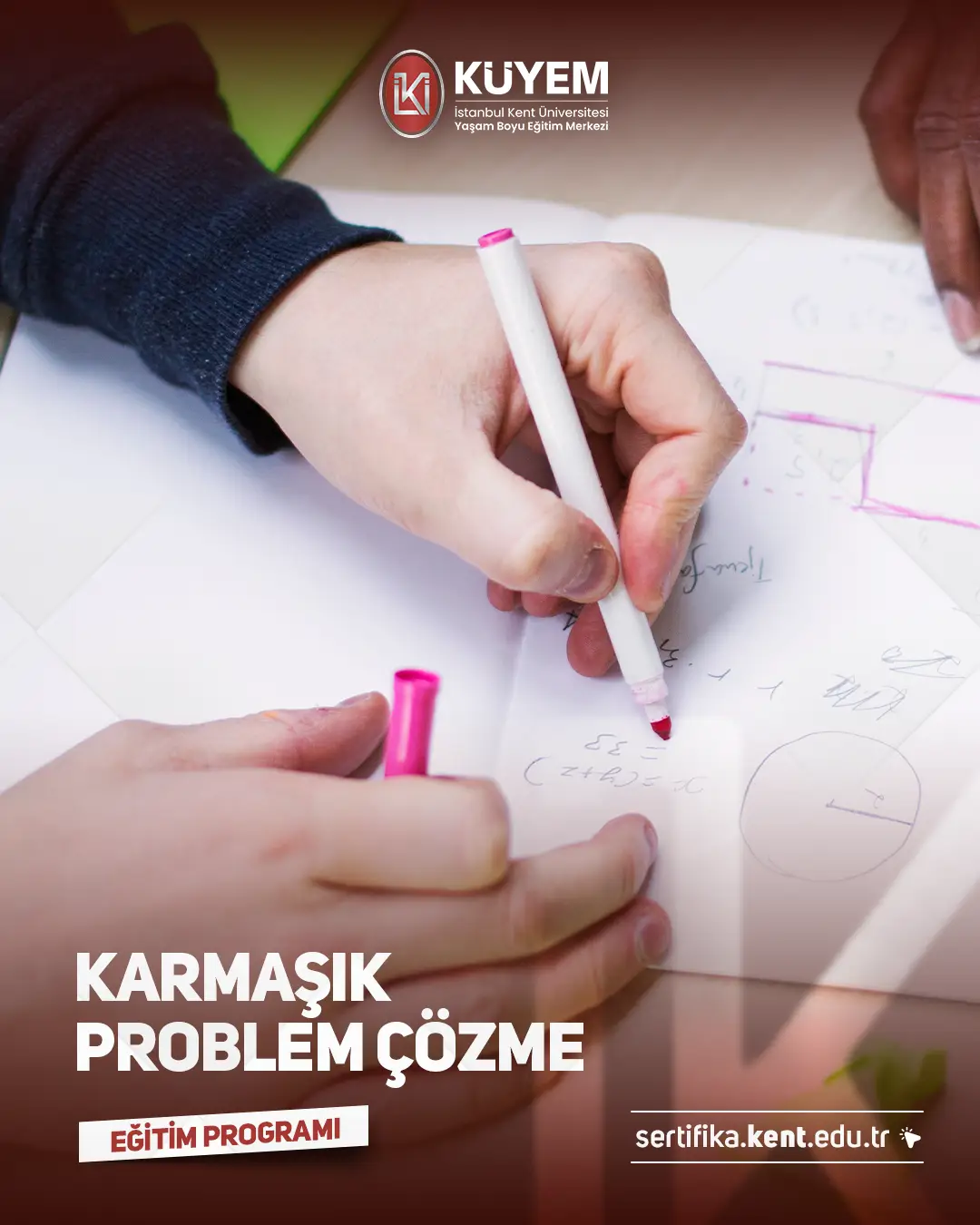 Karmaşık Problem Çözme Sertifika Programı