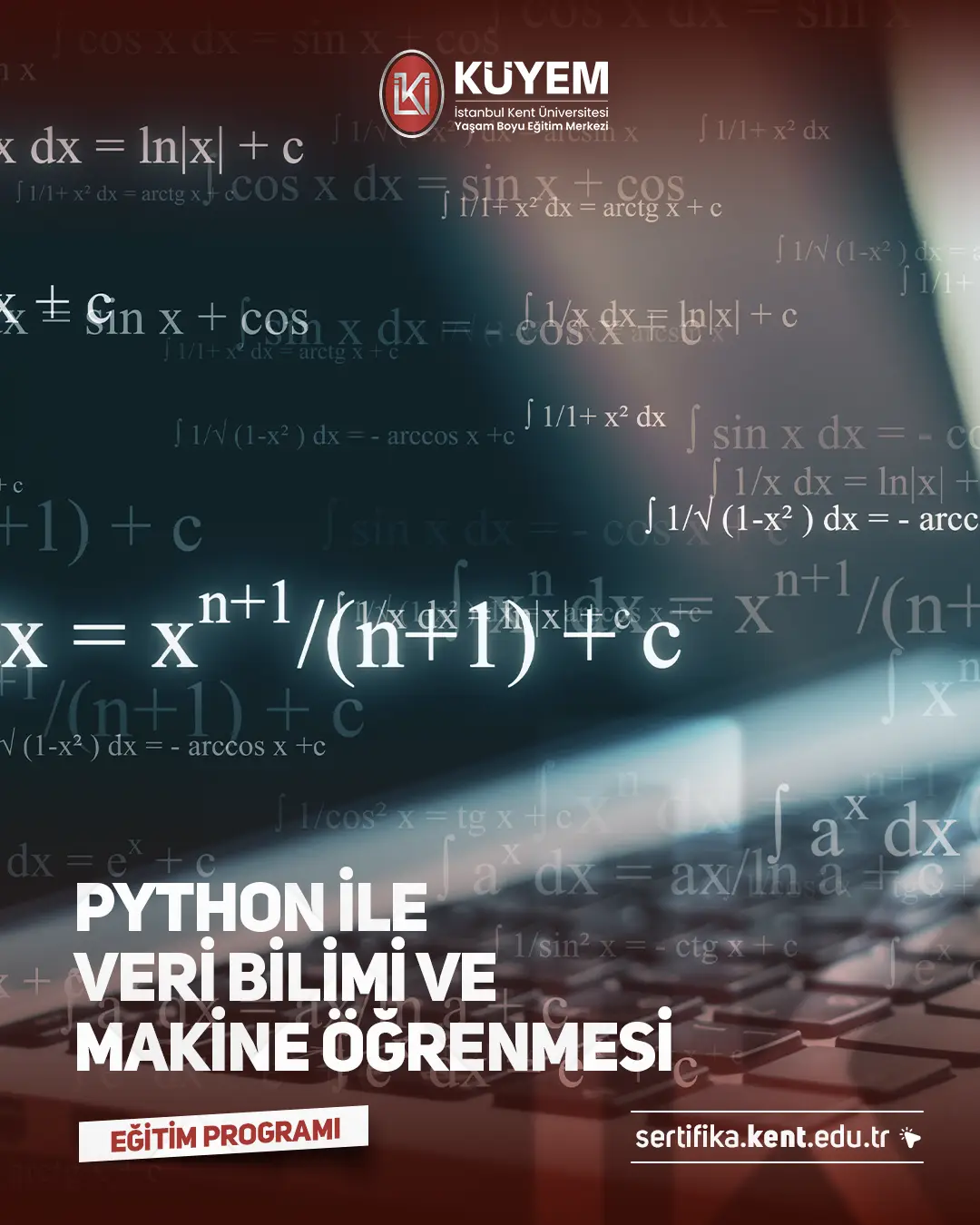 Python İle Veri Bilimi Ve Makine Öğrenmesi Sertifika Programı