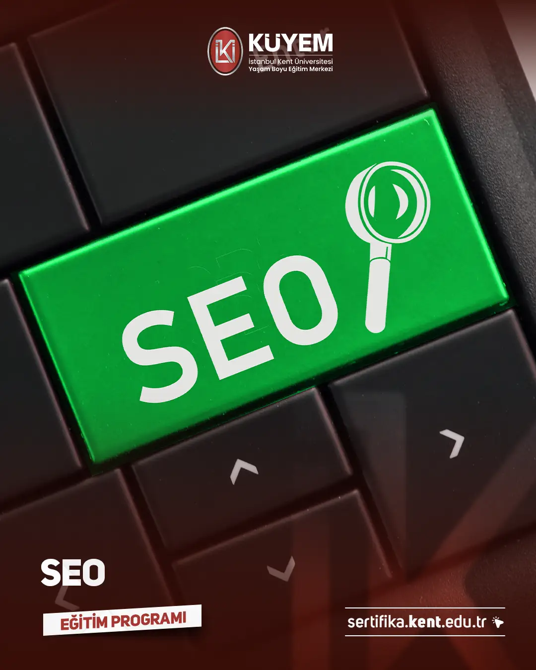 Seo Sertifika Programı