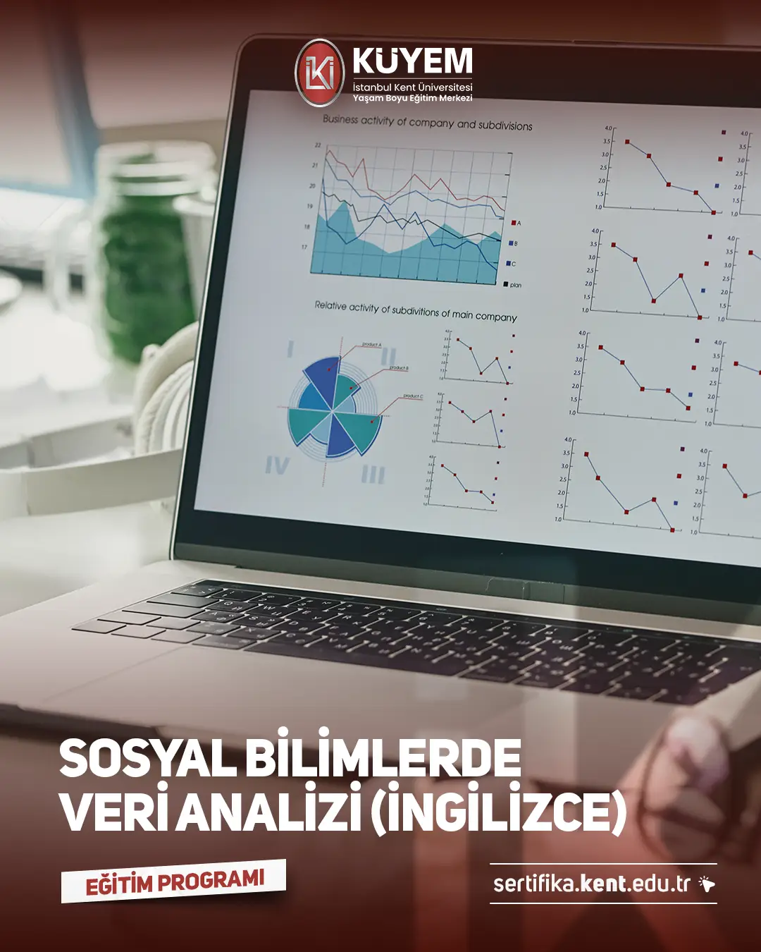 ÜCRETSİZ Sosyal Bilimlerde Veri Analizi Sertifika Programı - İngilizce