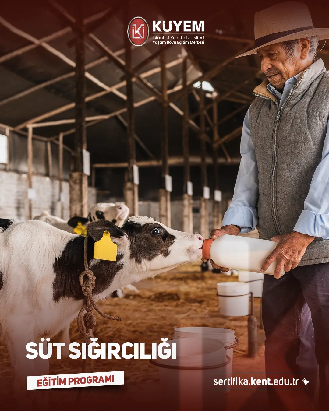Süt Sığırcılığı Sertifika Programı