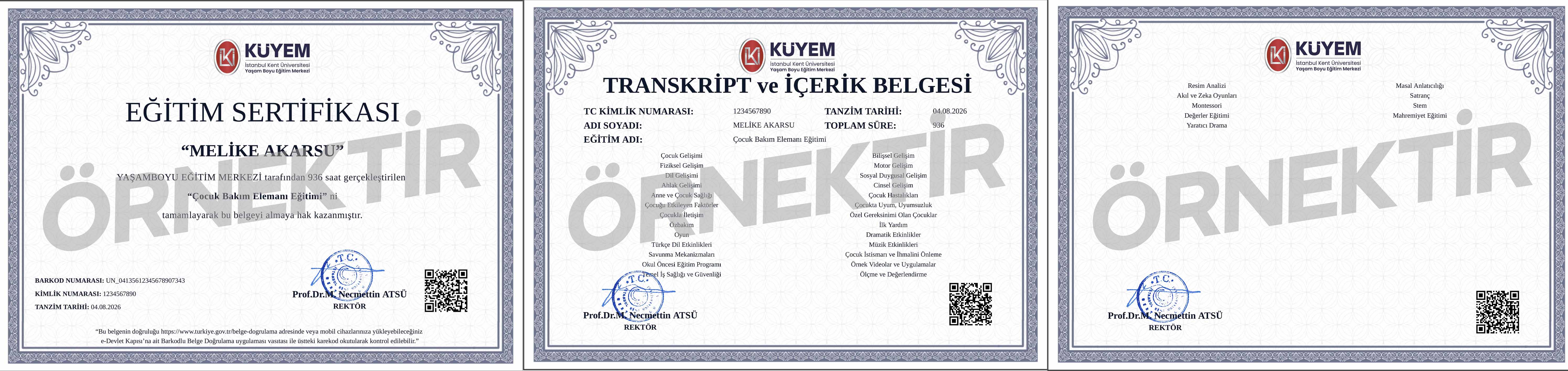 Sertifika Örneği